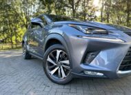 2020 Lexus NX300h 2.5 Takumi 5Dr Auto