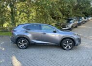 2020 Lexus NX300h 2.5 Takumi 5Dr Auto