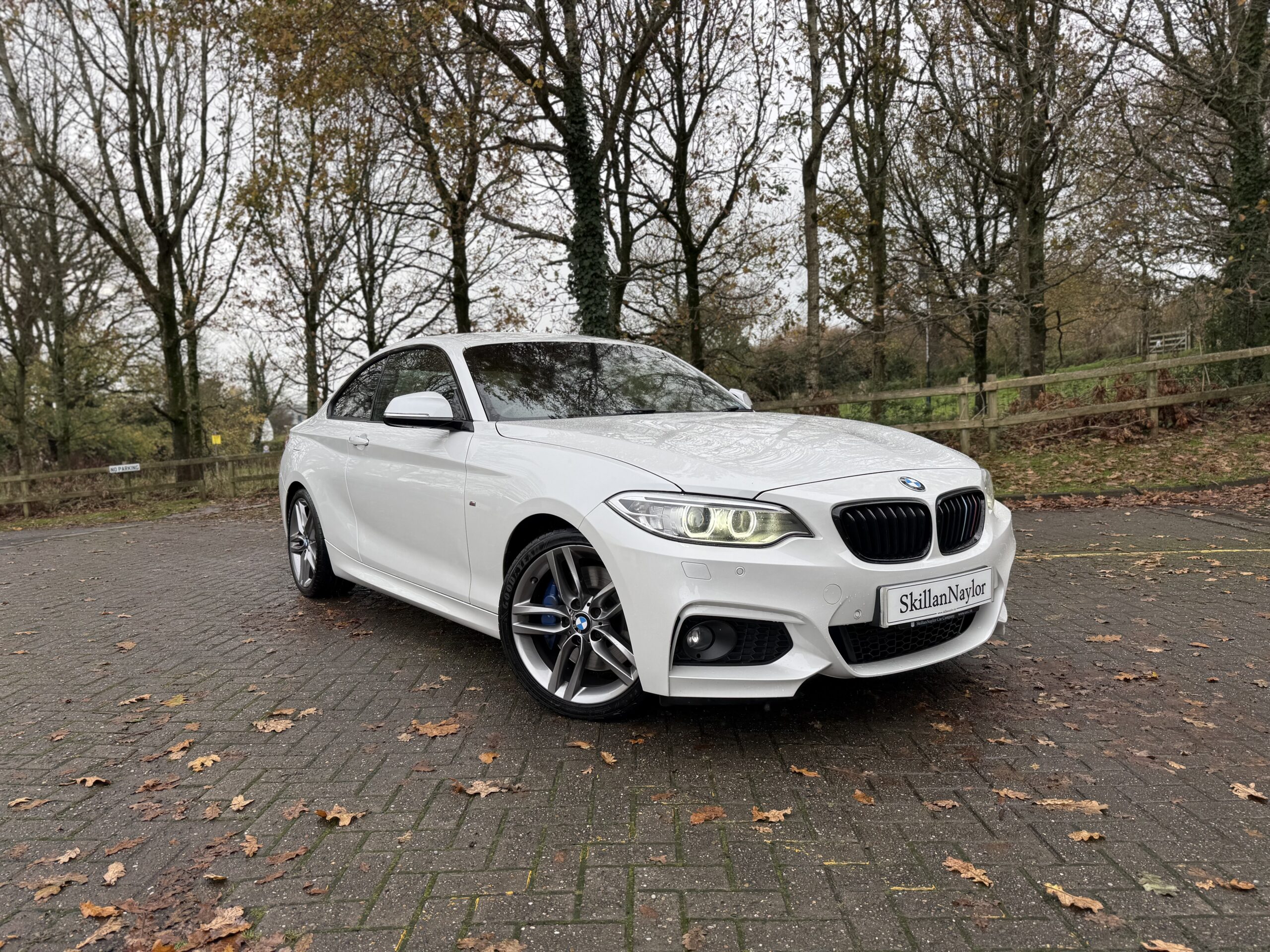 2014 BMW 225d M-Sport Coupe Auto
