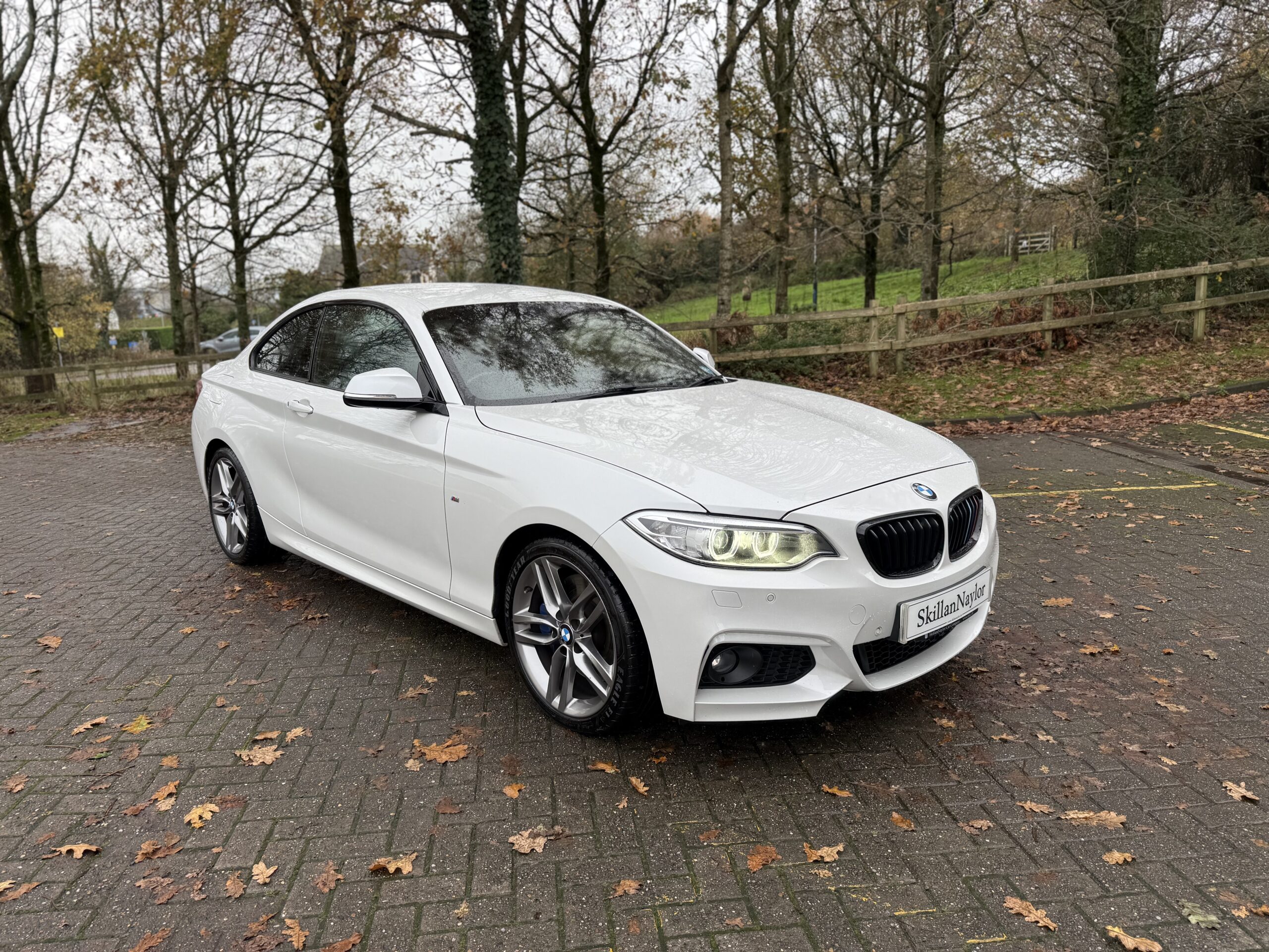2014 BMW 225d M-Sport Coupe Auto