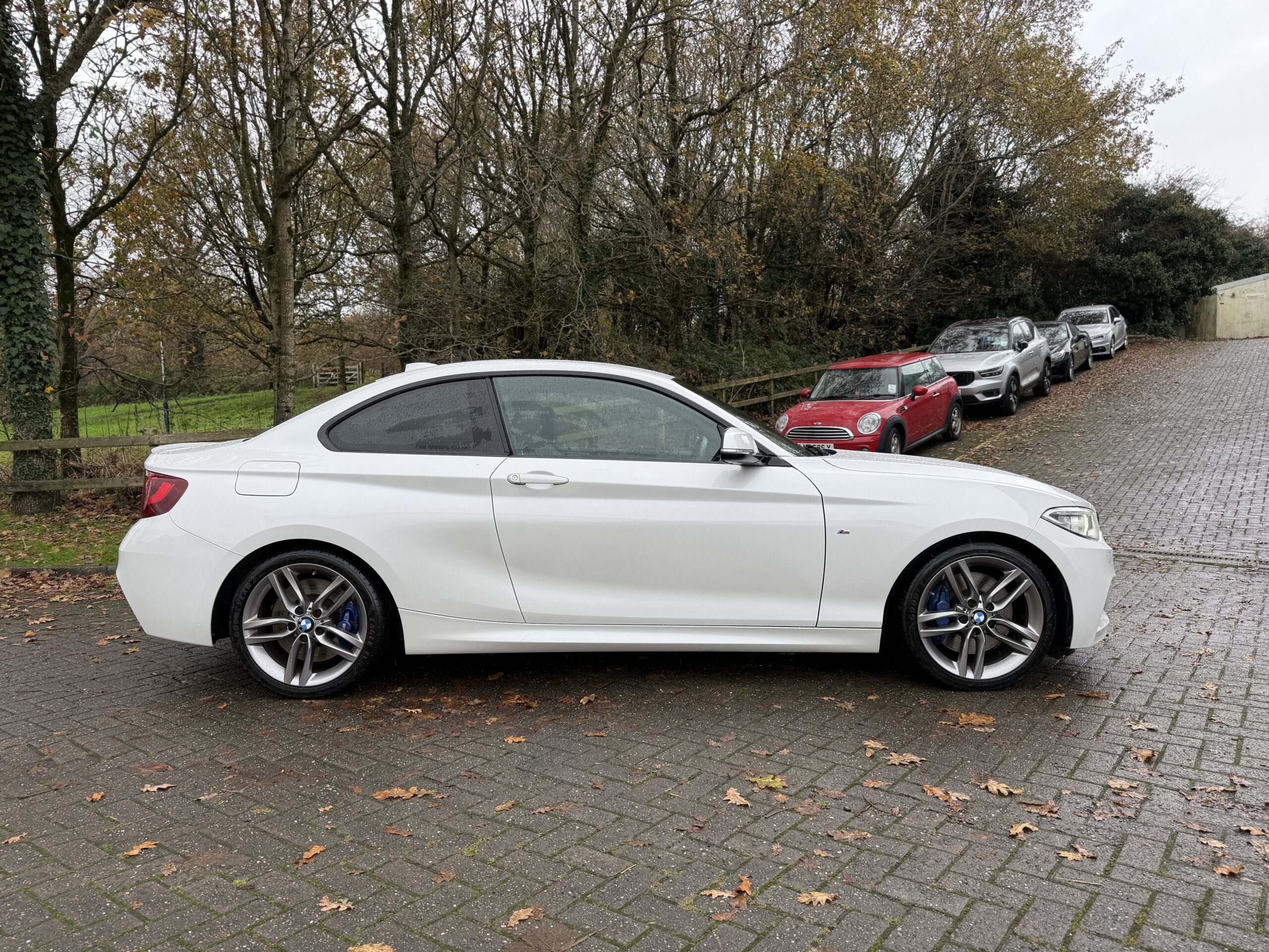 2014 BMW 225d M-Sport Coupe Auto